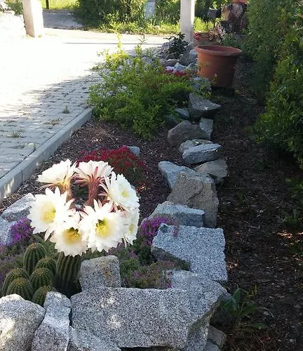 Vakantiehuis Il Poderino *